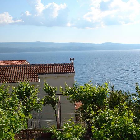 Apartmani Stanic Rosa Stanici Екстериор снимка